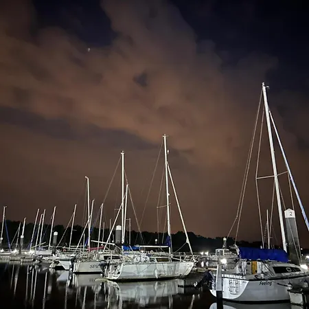 The Boat أوفار
