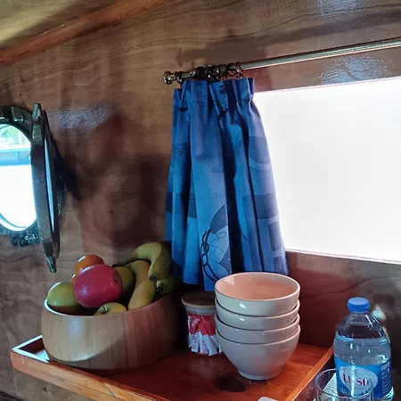 The Boat